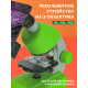 Микроскоп Bresser Junior 40–640x, зелен