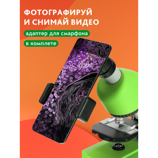 Микроскоп Bresser Junior 40–640x, зелен