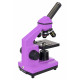 Микроскоп Levenhuk Rainbow 2L PLUS Amethyst  (Аметист)
