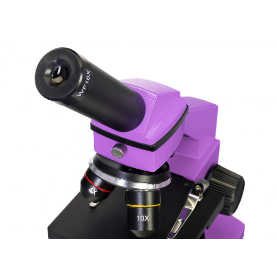 Микроскоп Levenhuk Rainbow 2L PLUS Amethyst  (Аметист)