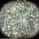 Микроскоп Levenhuk Rainbow 50L PLUS Azure  (Лазур)