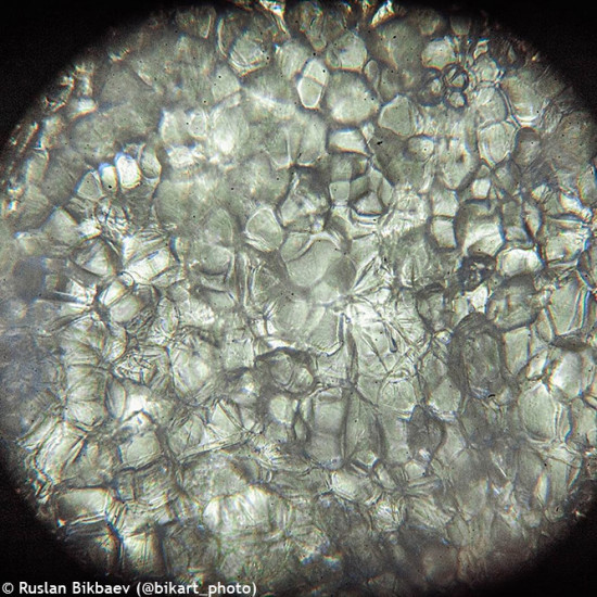Микроскоп Levenhuk Rainbow 50L PLUS Moonstone(Лунен камък)