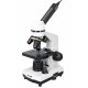 Цифров микроскоп Levenhuk Rainbow D2L 0.3M, Moonstone (Лунен камък)