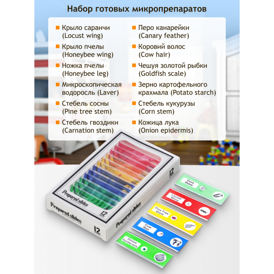 Цифров микроскоп Levenhuk LabZZ DM200 LCD