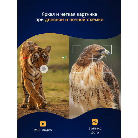 Цифров бинокъл за нощно виждане Levenhuk Halo 13x Wi-Fi Цифров бинокъл за нощно виждане Levenhuk Halo 13x Wi-Fi