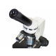 Микроскоп Levenhuk Discovery Femto Polar с книга