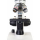 Микроскоп Levenhuk Discovery Femto Polar с книга