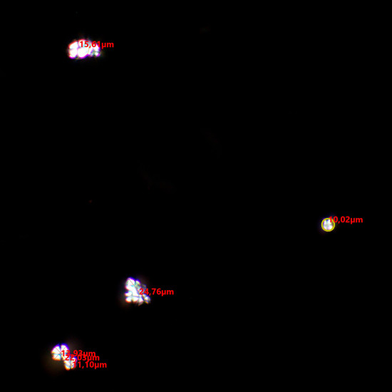 Комплект поляризатор/анализатор MAGUS SPD3 Комплект поляризатор/анализатор MAGUS SPD3