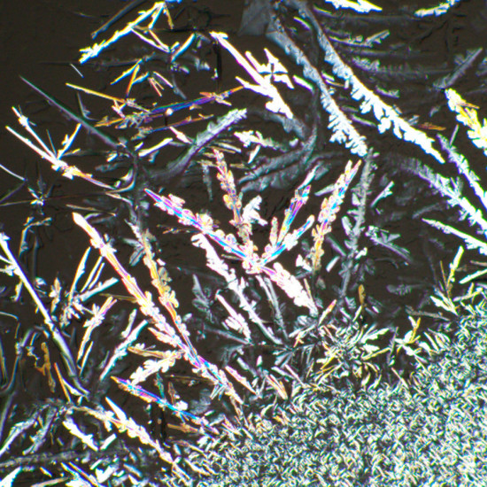 Комплект поляризатор/анализатор MAGUS SPD2 Комплект поляризатор/анализатор MAGUS SPD2