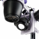 Цифров стереомикроскоп MAGUS Stereo D8T PLUS